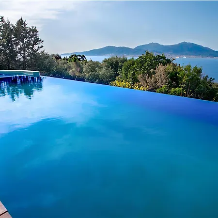 Villa With Swimming In Nice * Nice